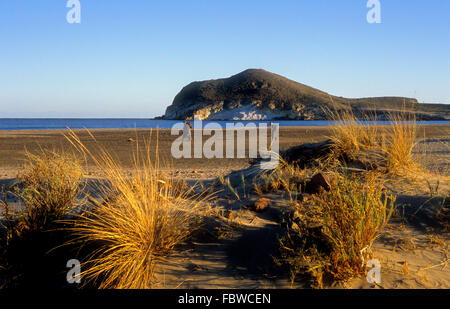 `Ensenada de los Genoveses´ cove.Cabo de Gata-Nijar Natural Park. Biosphere Reserve, Almeria province, Andalucia, Spain Stock Photo